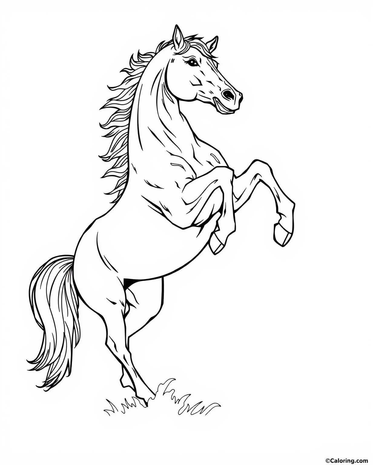 Bucking Horse Coloring Page - Free Printable